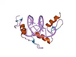 1jk1: Zif268 D20A Mutant Bound to WT DNA Site