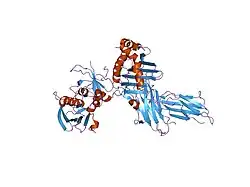 1jwm: Crystal Structure of the Complex of the MHC Class II Molecule HLA-DR1(HA peptide 306-318) with the Superantigen SEC3