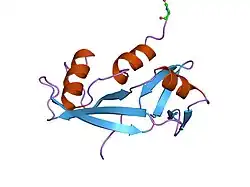 1k58: Crystal Structure of Human Angiogenin Variant D116H