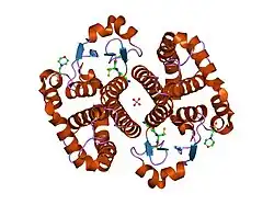 1lbk: Crystal structure of a recombinant glutathione transferase, created by replacing the last seven residues of each subunit of the human class pi isoenzyme with the additional C-terminal helix of human class alpha isoenzyme