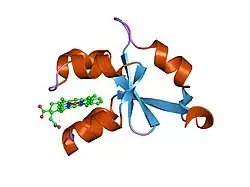 1lr6: Crystal structure of V45Y mutant of cytochrome b5
