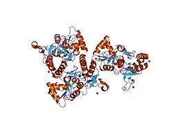 1m5e: X-RAY STRUCTURE OF THE GLUR2 LIGAND BINDING CORE (S1S2J) IN COMPLEX WITH ACPA AT 1.46 A RESOLUTION