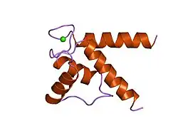 1mho: THE 2.0 A STRUCTURE OF HOLO S100B FROM BOVINE BRAIN