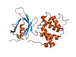 1mix: Crystal structure of a FERM domain of Talin
