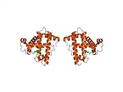 1mnj: INTERACTIONS AMONG RESIDUES CD3, E7, E10 AND E11 IN MYOGLOBINS: ATTEMPTS TO SIMULATE THE O2 AND CO BINDING PROPERTIES OF APLYSIA MYOGLOBIN