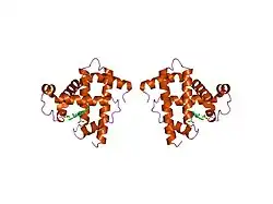 1mnk: INTERACTIONS AMONG RESIDUES CD3, E7, E10 AND E11 IN MYOGLOBINS: ATTEMPTS TO SIMULATE THE O2 AND CO BINDING PROPERTIES OF APLYSIA MYOGLOBIN