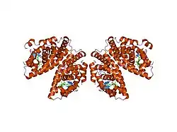 1mzn: CRYSTAL STRUCTURE at 1.9 ANGSTROEMS RESOLUTION OF THE HOMODIMER OF HUMAN RXR ALPHA LIGAND BINDING DOMAIN BOUND TO THE SYNTHETIC AGONIST COMPOUND BMS 649 AND A COACTIVATOR PEPTIDE