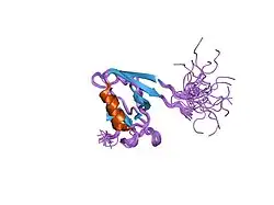 1n7t: ERBIN PDZ domain bound to a phage-derived peptide