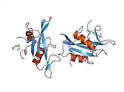 1nzv: Crystal Structure of Src SH2 domain bound to doubly phosphorylated peptide PQpYIpYVPA