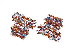 1o01: Human mitochondrial aldehyde dehydrogenase complexed with crotonaldehyde, NAD(H) and Mg2+