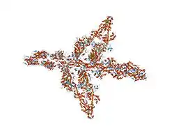 1o1f: MOLECULAR MODELS OF AVERAGED RIGOR CROSSBRIDGES FROM TOMOGRAMS OF INSECT FLIGHT MUSCLE