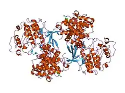 1okw: CYCLIN A BINDING GROOVE INHIBITOR AC-ARG-ARG-LEU-ASN-(M-CL-PHE)-NH2