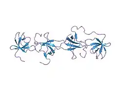 1ov3: Structure of the p22phox-p47phox complex