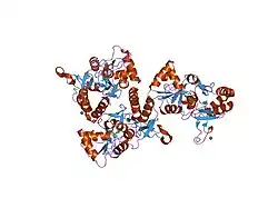 1p1q: Crystal structure of the GluR2 ligand binding core (S1S2J) L650T mutant in complex with AMPA