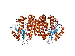 1p60: Structure of human dCK complexed with 2'-Deoxycytidine and ADP, Space group C 2 2 21