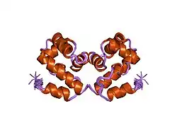 1qck: SOLUTION STRUCTURE OF HUMAN BARRIER-TO-AUTOINTEGRATION FACTOR BAF, NMR, REGULARIZED MEAN STRUCTURE PLUS 20 INDIVIDUAL SIMULATED ANNEALING STRUCTURES