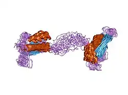 1qu6: STRUCTURE OF THE DOUBLE-STRANDED RNA-BINDING DOMAIN OF THE PROTEIN KINASE PKR REVEALS THE MOLECULAR BASIS OF ITS DSRNA-MEDIATED ACTIVATION