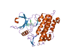 1rw8: Crystal Structure of TGF-beta receptor I kinase with ATP site inhibitor