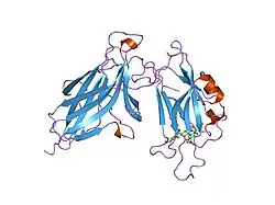1shw: EphB2 / EphrinA5 Complex Structure