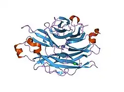 1so7: Maltose-induced structure of the human cytolsolic sialidase Neu2