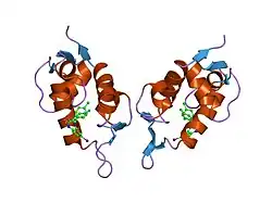 1t4e: Structure of Human MDM2 in complex with a Benzodiazepine Inhibitor
