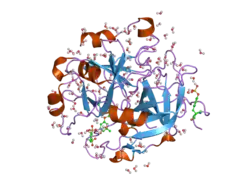 1t4u: Crystal Structure Analysis of a novel Oxyguanidine bound to Thrombin