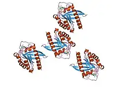 1t91: crystal structure of human small GTPase Rab7(GTP)