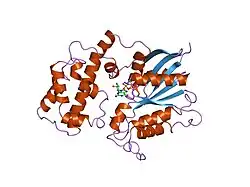 1tag: STRUCTURAL DETERMINANTS FOR ACTIVATION OF THE ALPHA-SUBUNIT OF A HETEROTRIMERIC G PROTEIN