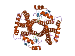 1tdi: Crystal Structure of hGSTA3-3 in Complex with Glutathione