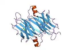 1thc: CRYSTAL STRUCTURE DETERMINATION AT 2.3A OF HUMAN TRANSTHYRETIN-3',5'-DIBROMO-2',4,4',6-TETRA-HYDROXYAURONE COMPLEX