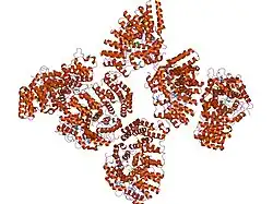 1tnu: Rat Protein Geranylgeranyltransferase Type-I Complexed with a GGPP analog and a GCINCCKVL Peptide Derived from RhoB