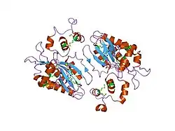 1tzd: CRYSTAL STRUCTURE OF THE CATALYTIC CORE OF INOSITOL 1,4,5-TRISPHOSPHATE 3-KINASE
