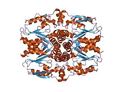 1ufq: Crystal structure of ligand-free human uridine-cytidine kinase 2