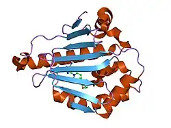 1uy6: HUMAN HSP90-ALPHA WITH 9-BUTYL-8-(3,4,5-TRIMETHOXY-BENZYL)-9H-PURIN-6-YLAMINE