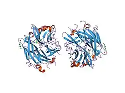 1vcu: Structure of the human cytosolic sialidase Neu2 in complex with the inhibitor DANA