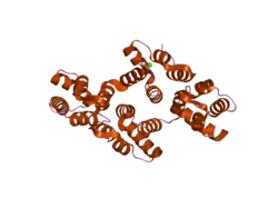 1w3w: THE 2.1 ANGSTROEM RESOLUTION STRUCTURE OF ANNEXIN A8