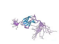1x5f: The solution structure of the first fibronectin type III domain of human Neogenin