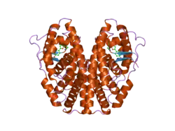 1x7e: CRYSTAL STRUCTURE OF ESTROGEN RECEPTOR ALPHA COMPLEXED WITH WAY-244