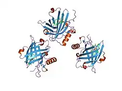 1x8u: Crystal structure of Siderocalin (NGAL, Lipocalin 2) complexed with Carboxymycobactin T
