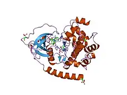 1xh7: Crystal Structures of Protein Kinase B Selective Inhibitors in Complex with Protein Kinase A and Mutants
