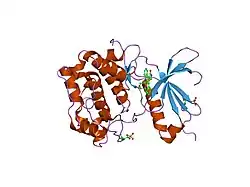 1xjd: Crystal Structure of PKC-theta complexed with Staurosporine at 2A resolution