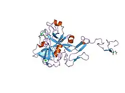 1xka: FACTOR XA COMPLEXED WITH A SYNTHETIC INHIBITOR FX-2212A,(2S)-(3'-AMIDINO-3-BIPHENYLYL)-5-(4-PYRIDYLAMINO)PENTANOIC ACID