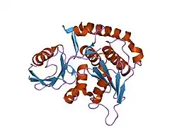 1xt9: Crystal Structure of Den1 in complex with Nedd8