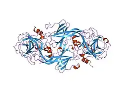 1xxd: Crystal Structure of the FXIa Catalytic Domain in Complex with mutated Ecotin