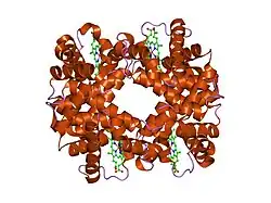 1y7c: T-To-T(High) quaternary transitions in human hemoglobin: betaP100A deoxy low-salt (1 test set)