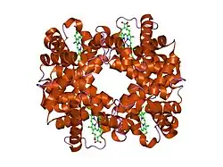 1y7d: T-To-T(High) quaternary transitions in human hemoglobin: betaP100G deoxy low-salt (1 test set)