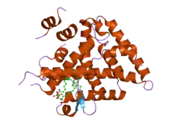 1yok: crystal structure of human LRH-1 bound with TIF-2 peptide and phosphatidylglycerol