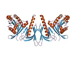 1zc4: Crystal structure of the Ral-binding domain of Exo84 in complex with the active RalA