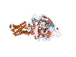 1zp0: Crystal Structure of Mitochondrial Respiratory Complex II bound with 3-nitropropionate and 2-thenoyltrifluoroacetone