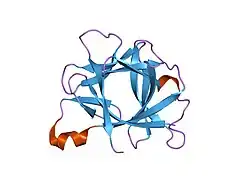 21bi: INTERLEUKIN-1 BETA (IL-1 BETA) (MUTANT WITH CYS 71 REPLACED BY ALA) (C71A)